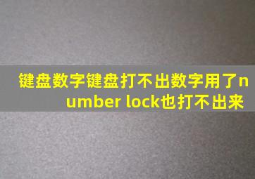 键盘数字键盘打不出数字用了number lock也打不出来